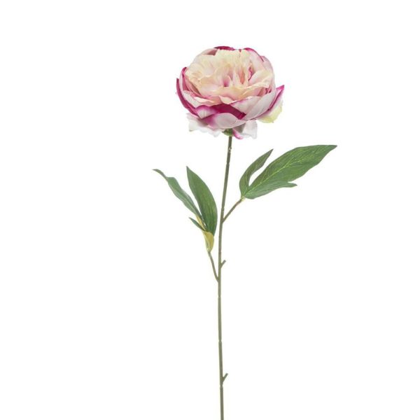 PEONIA SINGOLA CM.60 LAVANDA PEONIA SINGOLA CM.60 LAVANDA