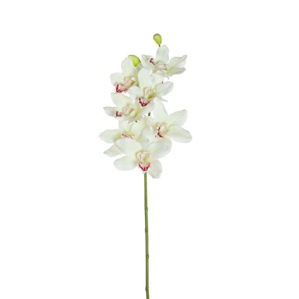 CYMBIDIUM LUSSO CM.92 BIANCO CYMBIDIUM LUSSO CM.92 BIANCO