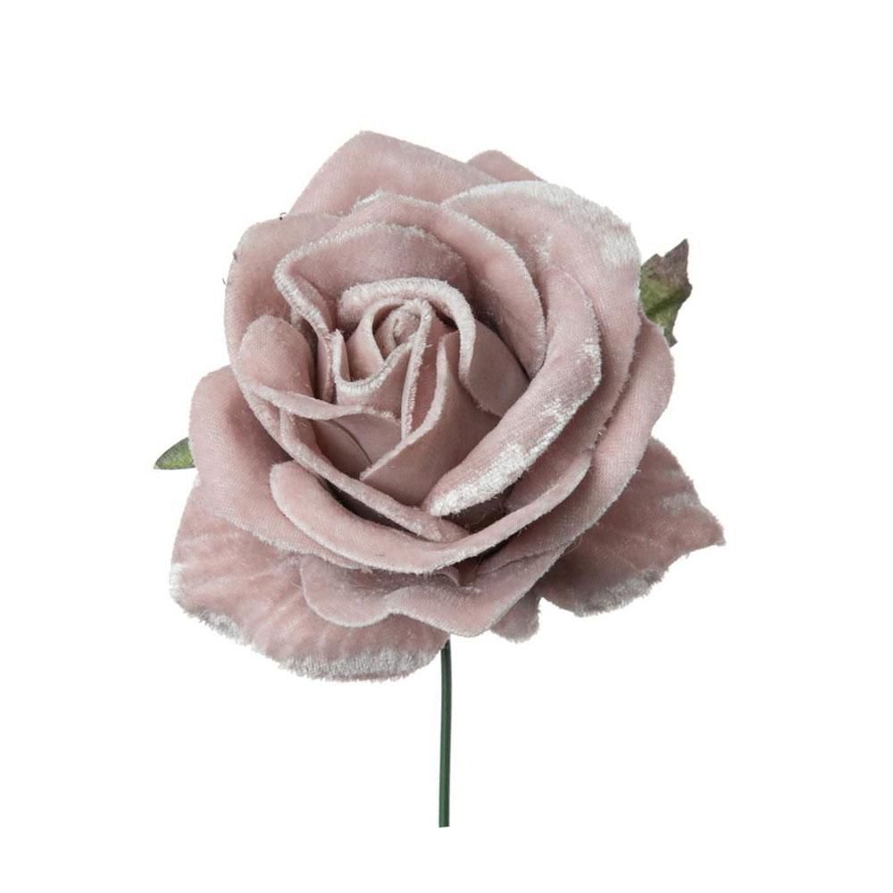 ROSINO PICK VELLUTO DELUXE CM.16 CHAMPAGNE ROSINO PICK VELLUTO DELUXE CM.16 CHAMPAGNE