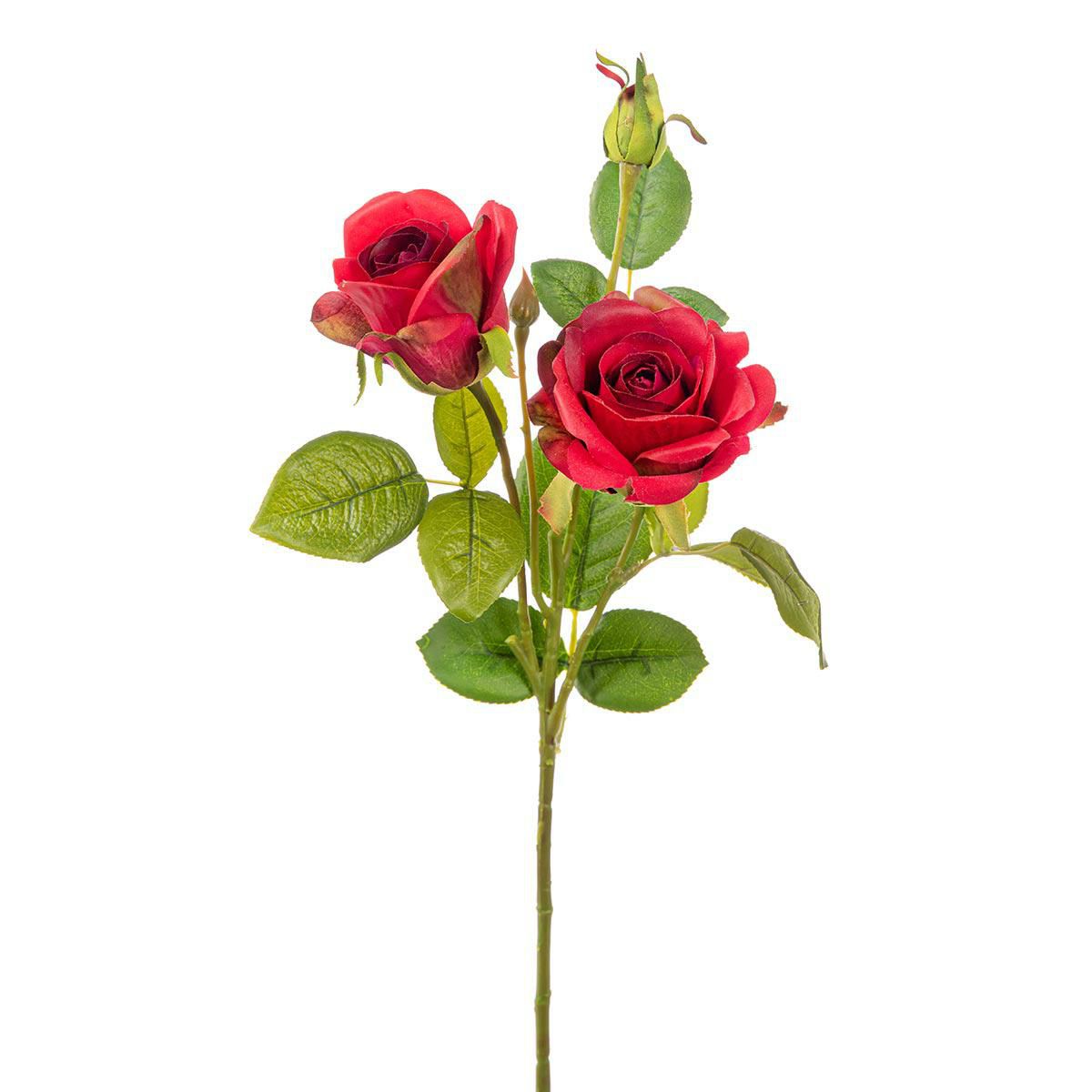 ROSA TRALCIO NATURAL TOUCH ROSSO