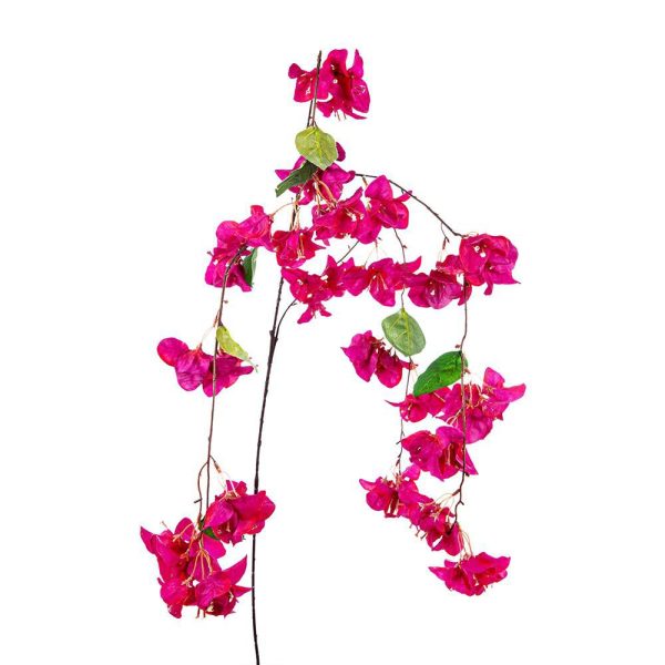 BOUGANVILLEA CADENTE CM.114 FUXIA BOUGANVILLEA CADENTE CM.114 FUXIA