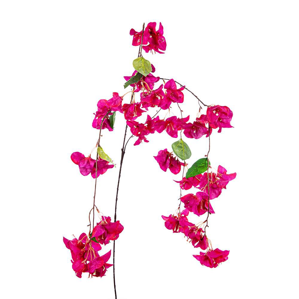 BOUGANVILLEA CADENTE CM.114 FUXIA BOUGANVILLEA CADENTE CM.114 FUXIA