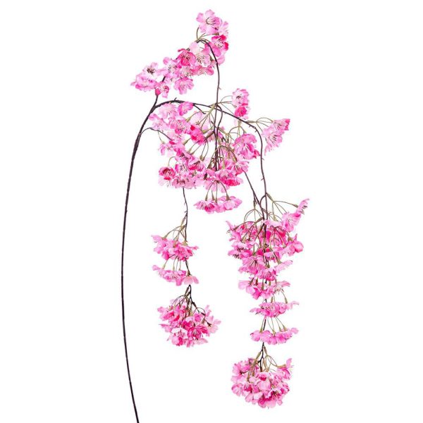 PESCO TRALCIO CM.94 ROSA