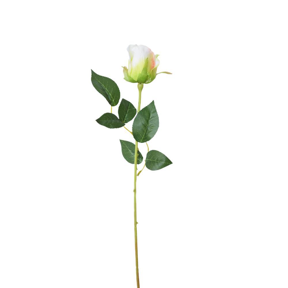 ROSA BOCCIOLO CM.06 AVORIO ROSA BOCCIOLO CM.06 AVORIO