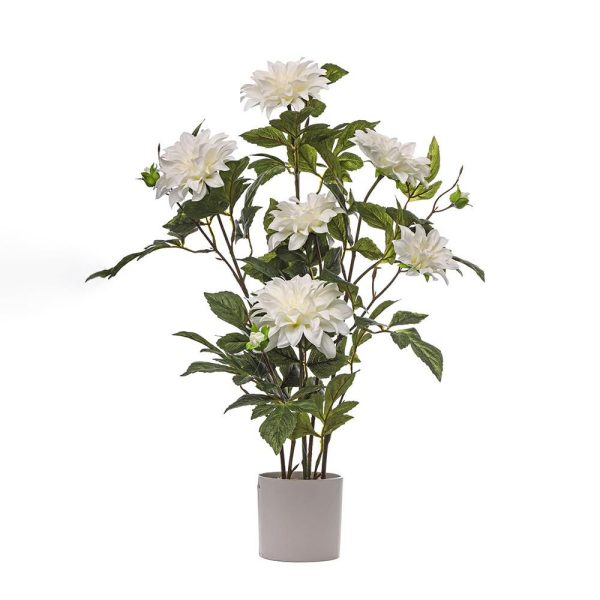 DALIA PIANTA C/VASO 5F 5B CM.80 CREMA DALIA PIANTA C/VASO 5F 5B CM.80 CREMA