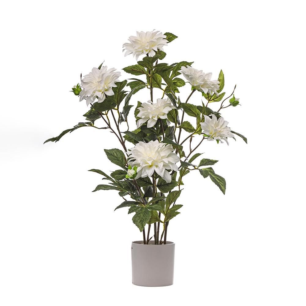 DALIA PIANTA C/VASO 5F 5B CM.80 CREMA DALIA PIANTA C/VASO 5F 5B CM.80 CREMA