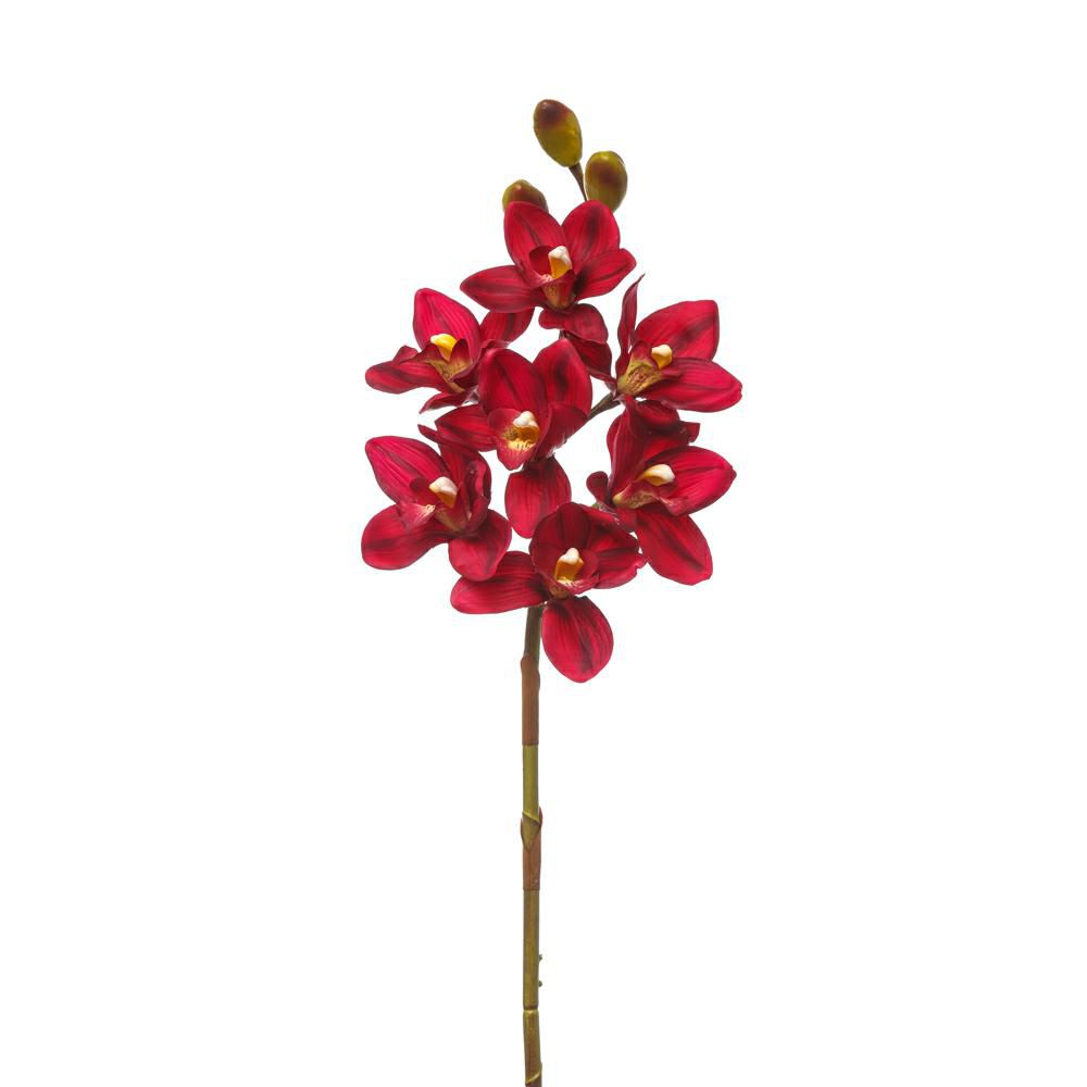 CYMBIDIUM NATURAL TOUCHCM.80 BORDEUAX