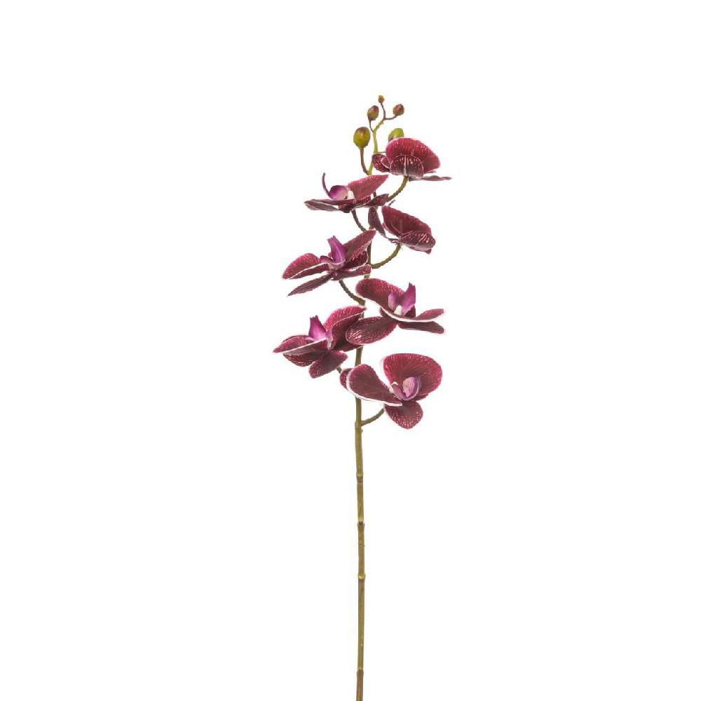 PHALAENOPSIS NATURAL TOUCH CM.87 BURGUNDY