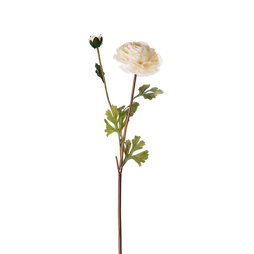 RANUNCOLO 1F+1B CM.68 CREMA RANUNCOLO 1F+1B CM.68 CREMA