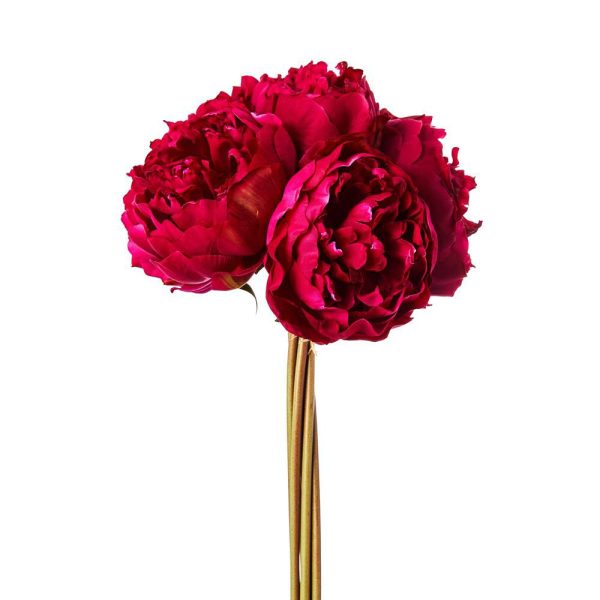 PEONIA BOUQUET 6F CM.38BORDEAUX PEONIA BOUQUET 6F CM.38BORDEAUX