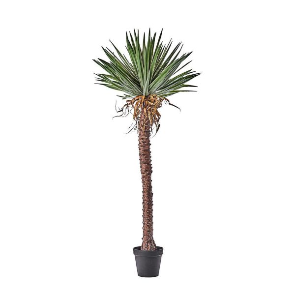 YUCCA PIANTA C/VASO CM.180 VERDE YUCCA PIANTA C/VASO CM.180 VERDE