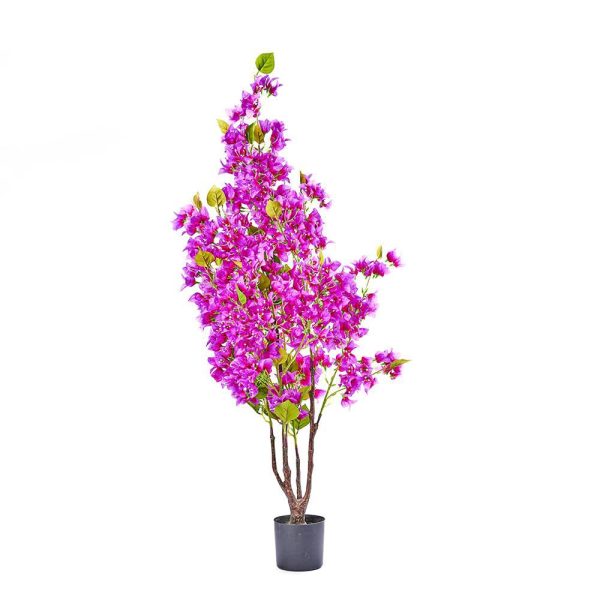 BOUGANVILLE PIANTA C/VASO CM.120 FUXIA BOUGANVILLE PIANTA C/VASO CM.120 FUXIA