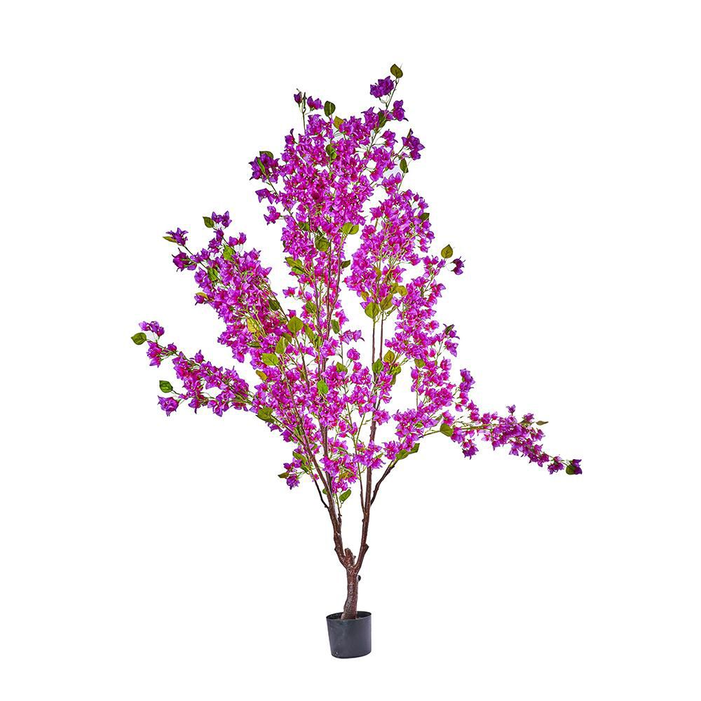 BOUGANVILLE PIANTA C/VASO CM.210 FUXIA BOUGANVILLE PIANTA C/VASO CM.210 FUXIA