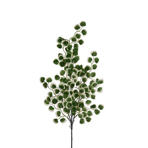 RAMO CAPELVENERE 130FG CM.60 VERDE VARIEGATO RAMO CAPELVENERE 130FG CM.60 VERDE VARIEGATO