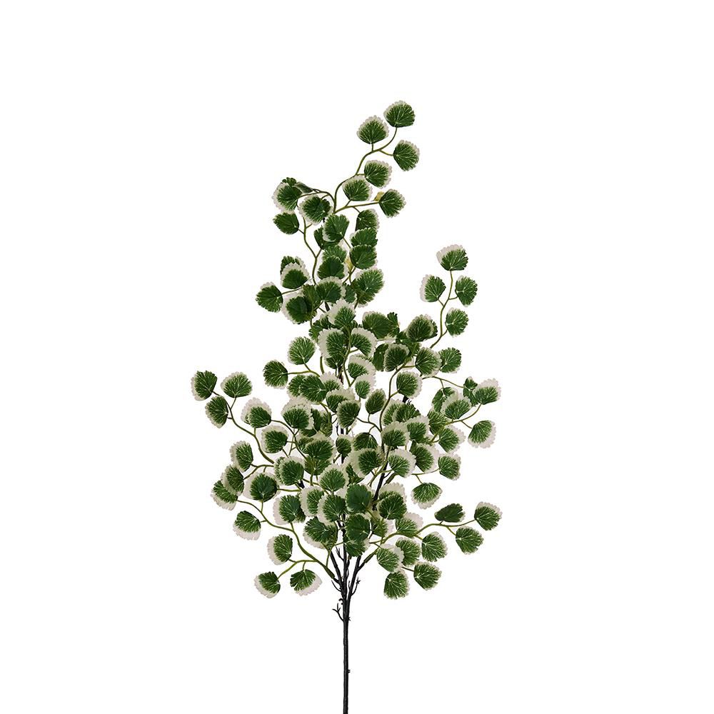 RAMO CAPELVENERE 130FG CM.60 VERDE VARIEGATO