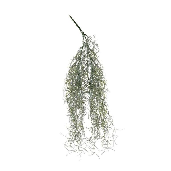 TILLANZIA BUSH CADENTE CM.60 VERDE SCURO TILLANZIA BUSH CADENTE CM.60 VERDE SCURO