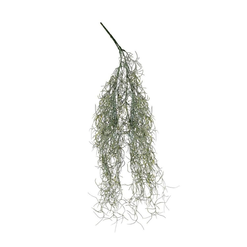 TILLANZIA BUSH CADENTE CM.60 VERDE SCURO TILLANZIA BUSH CADENTE CM.60 VERDE SCURO