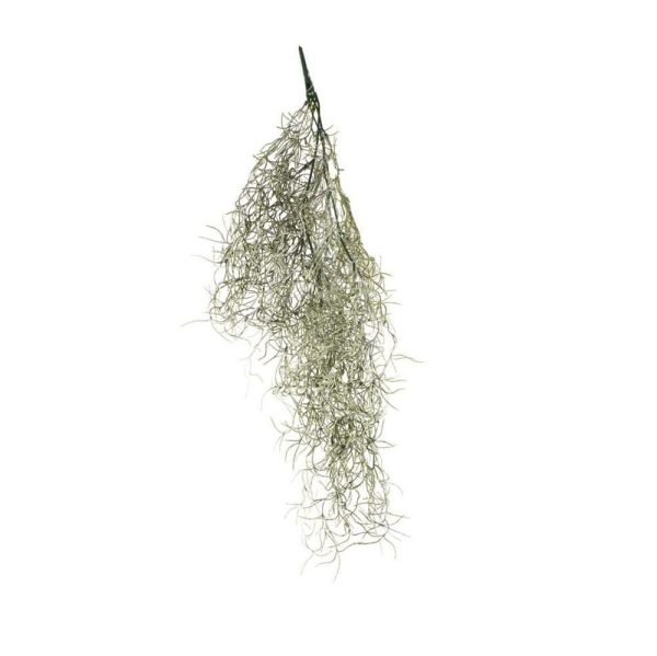 TILLANZIA BUSH CADENTE CM.60 VERDE CHIARO TILLANZIA BUSH CADENTE CM.60 VERDE CHIARO