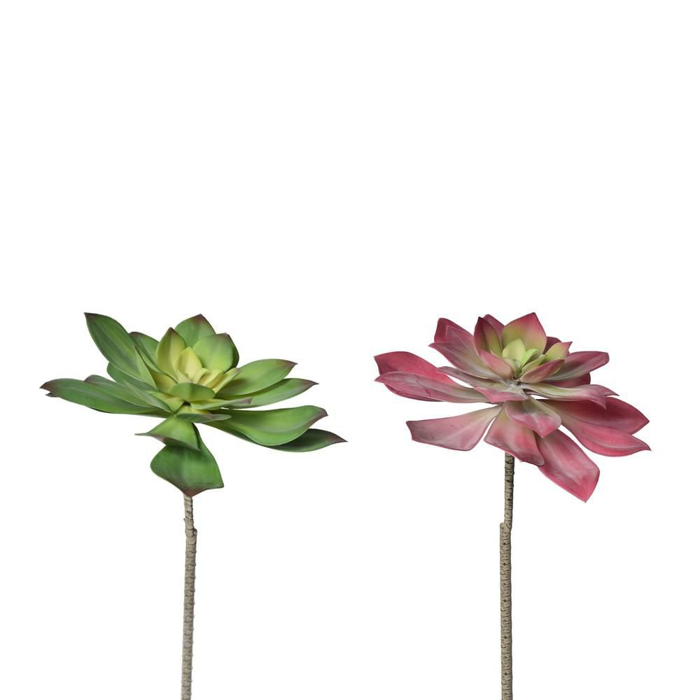 ECHEVERIA PIANTA D.32 CM H.50 CM. ASSORTITA VERDE/ROSSO ECHEVERIA PIANTA D.32 CM H.50 CM. ASSORTITA VERDE/ROSSO