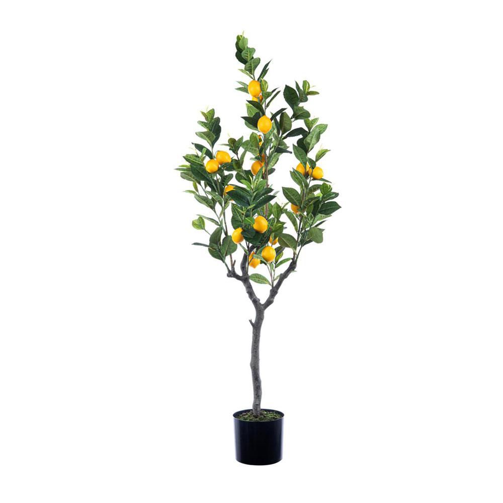 LIMONE PIANTA C/VASO CM.120 VERDE/GIALLO LIMONE PIANTA C/VASO CM.120 VERDE/GIALLO