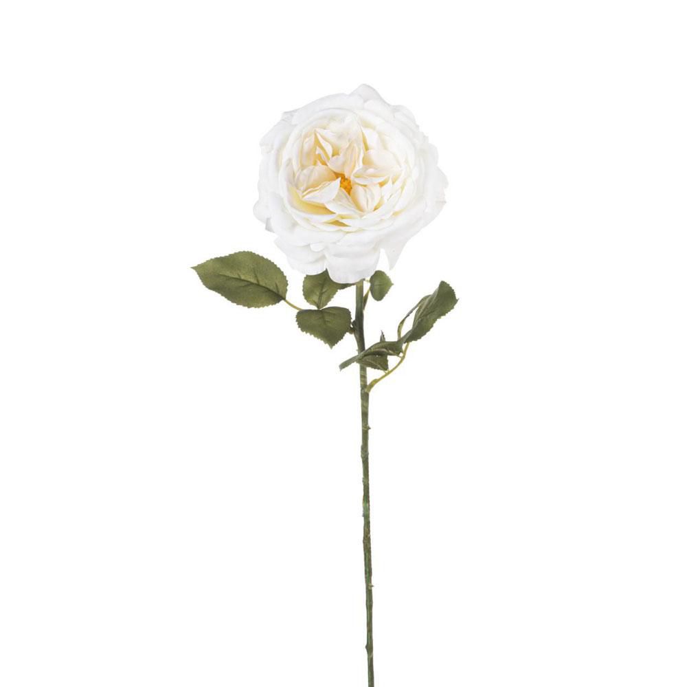 ROSA FANNY CM.67 BIANCO ROSA FANNY CM.67 BIANCO