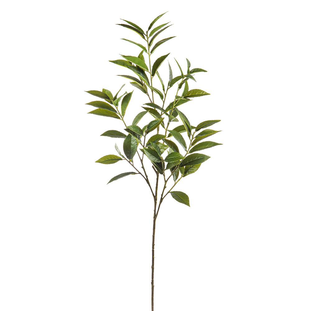 LAURO RAMO 3X CM.102 VERDE