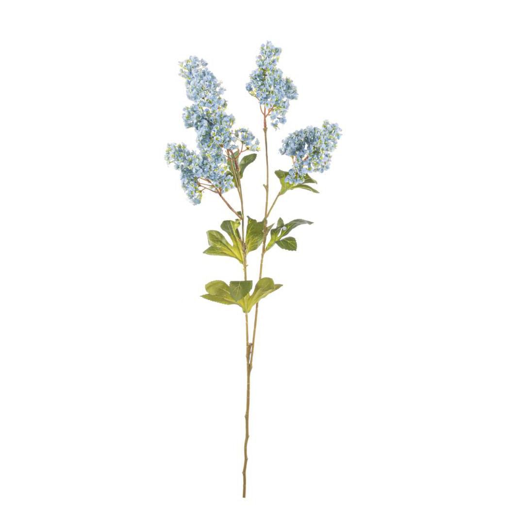 LILLA RAMO 5X CM.74 BLU LILLA RAMO 5X CM.74 BLU