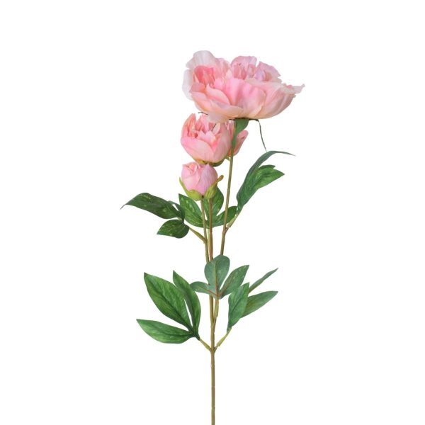 PEONIA SPRAY 2F+1B CM.65 MALVA PEONIA SPRAY 2F+1B CM.65 MALVA