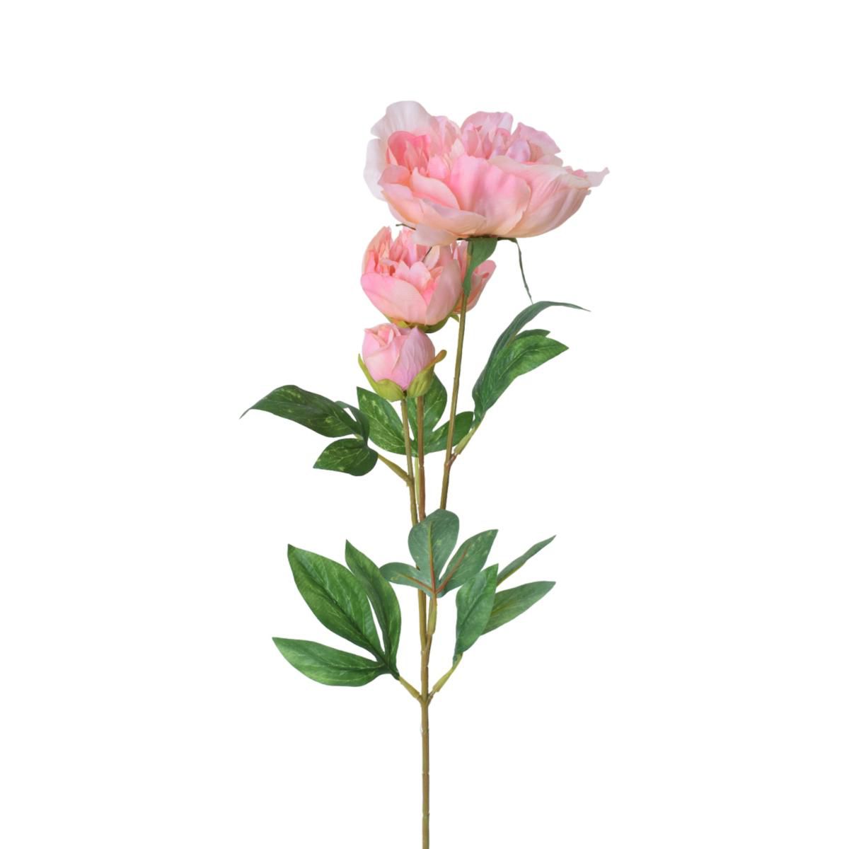 PEONIA SPRAY 2F+1B CM.65 MALVA PEONIA SPRAY 2F+1B CM.65 MALVA