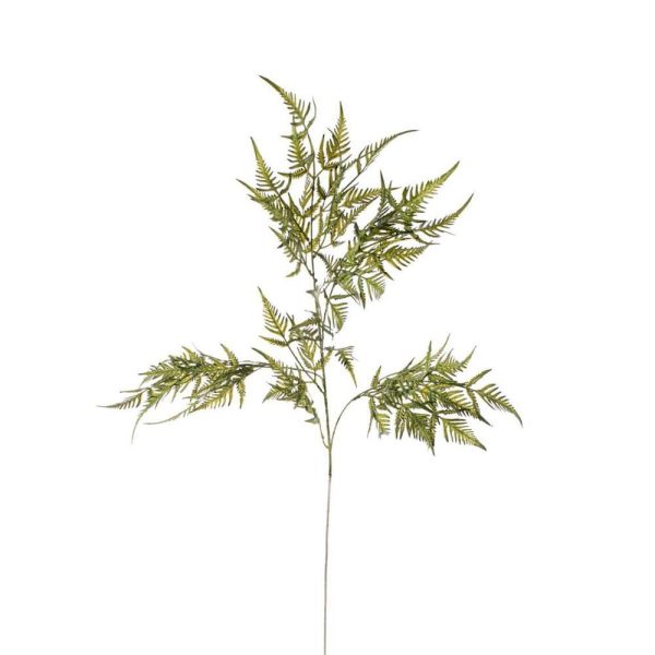 FELCE RAMO CM.90 VERDE FELCE RAMO CM.90 VERDE