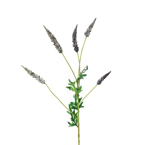 ASTILBE RAMO CM.82 VIOLA ASTILBE RAMO CM.82 VIOLA