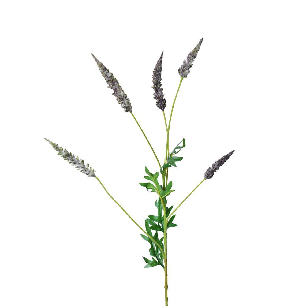 ASTILBE RAMO CM.82 VIOLA ASTILBE RAMO CM.82 VIOLA