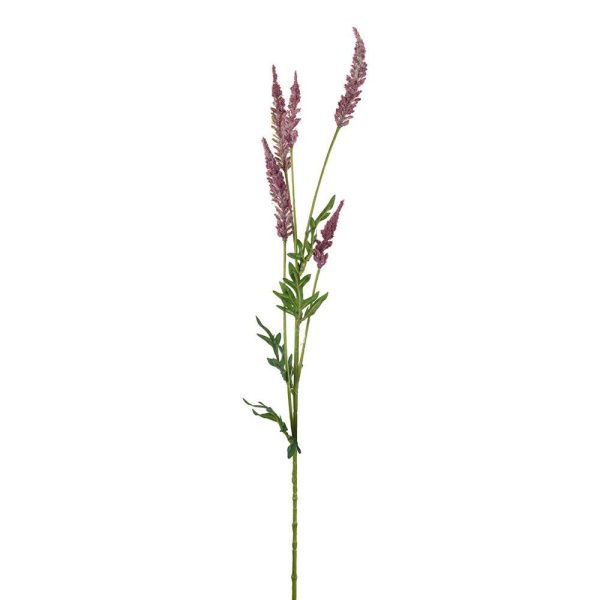 ASTILBE RAMO CM.82 BEAUTY ASTILBE RAMO CM.82 BEAUTY