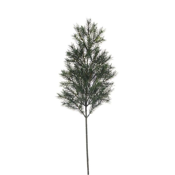 ABETE RAMO VERDE ABETE RAMO VERDE