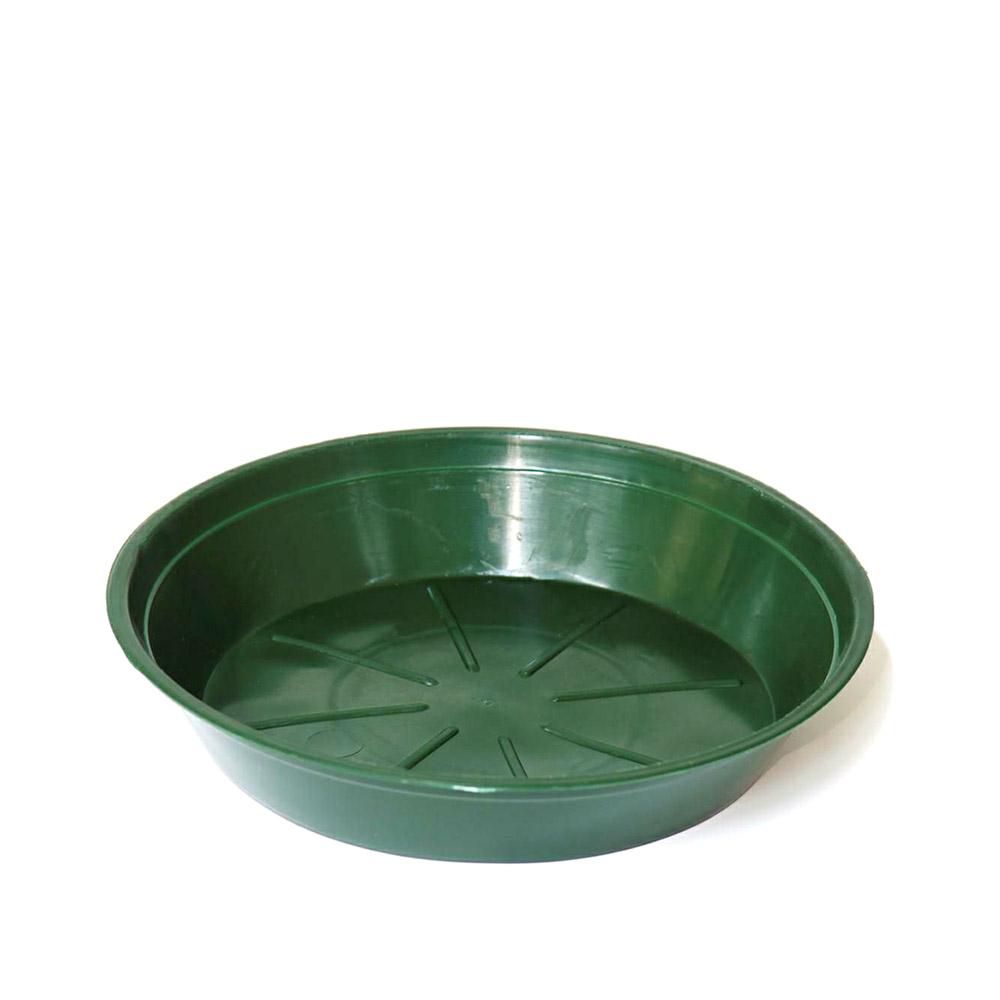 SOTTOVASO PLASTICA TONDO D.24 CM H.4 CM CONF.PZ.50 VERDE SOTTOVASO PLASTICA TONDO D.24 CM H.4 CM CONF.PZ.50 VERDE