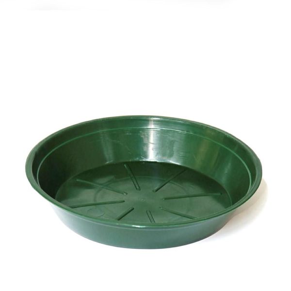 SOTTOVASO PLASTICA TONDO D.28 CM H.4,1 CM CONF.PZ.50 VERDE SOTTOVASO PLASTICA TONDO D.28 CM H.4,1 CM CONF.PZ.50 VERDE