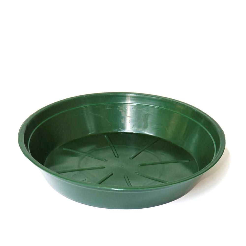 SOTTOVASO PLASTICA TONDO D.30 CM H.4,4 CM CONF.PZ.50 VERDE SOTTOVASO PLASTICA TONDO D.30 CM H.4,4 CM CONF.PZ.50 VERDE