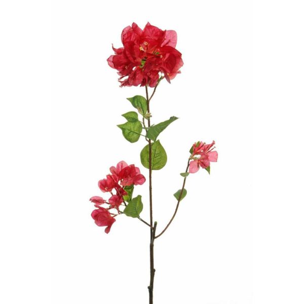 BOUGANVILLEA SPRAY 3F CM.80 BEAUTY BOUGANVILLEA SPRAY 3F CM.80 BEAUTY