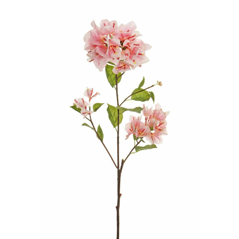 BOUGANVILLEA SPRAY 3F CM.80 ROSA