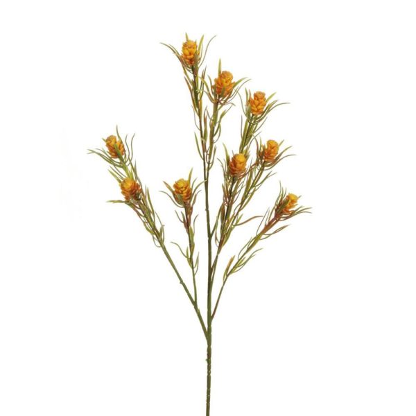 SAFARI SPRAY CM.72 GIALLO SAFARI SPRAY CM.72 GIALLO