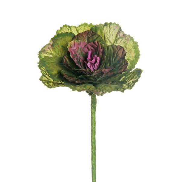 CAVOLO ORNAMENTALE CM.34 VERDE/PORPORA CAVOLO ORNAMENTALE CM.34 VERDE/PORPORA