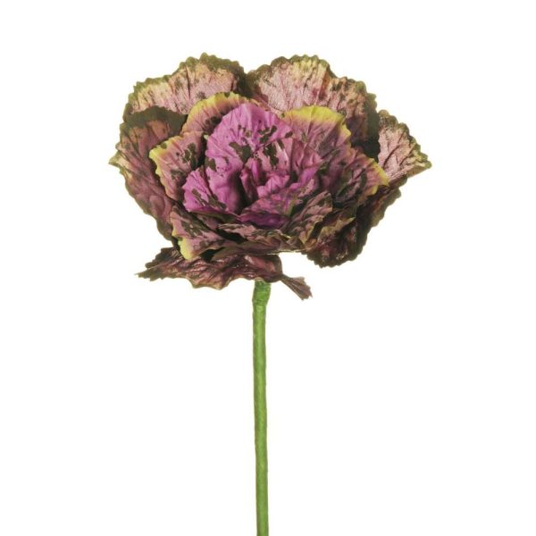 CAVOLO ORNAMENTALE CM.34 PORPORA/VERDE CAVOLO ORNAMENTALE CM.34 PORPORA/VERDE