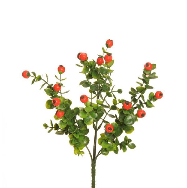 EUCALYPTO BUSH C/BACCHE6F CM.34,5 ARANCIO EUCALYPTO BUSH C/BACCHE6F CM.34,5 ARANCIO