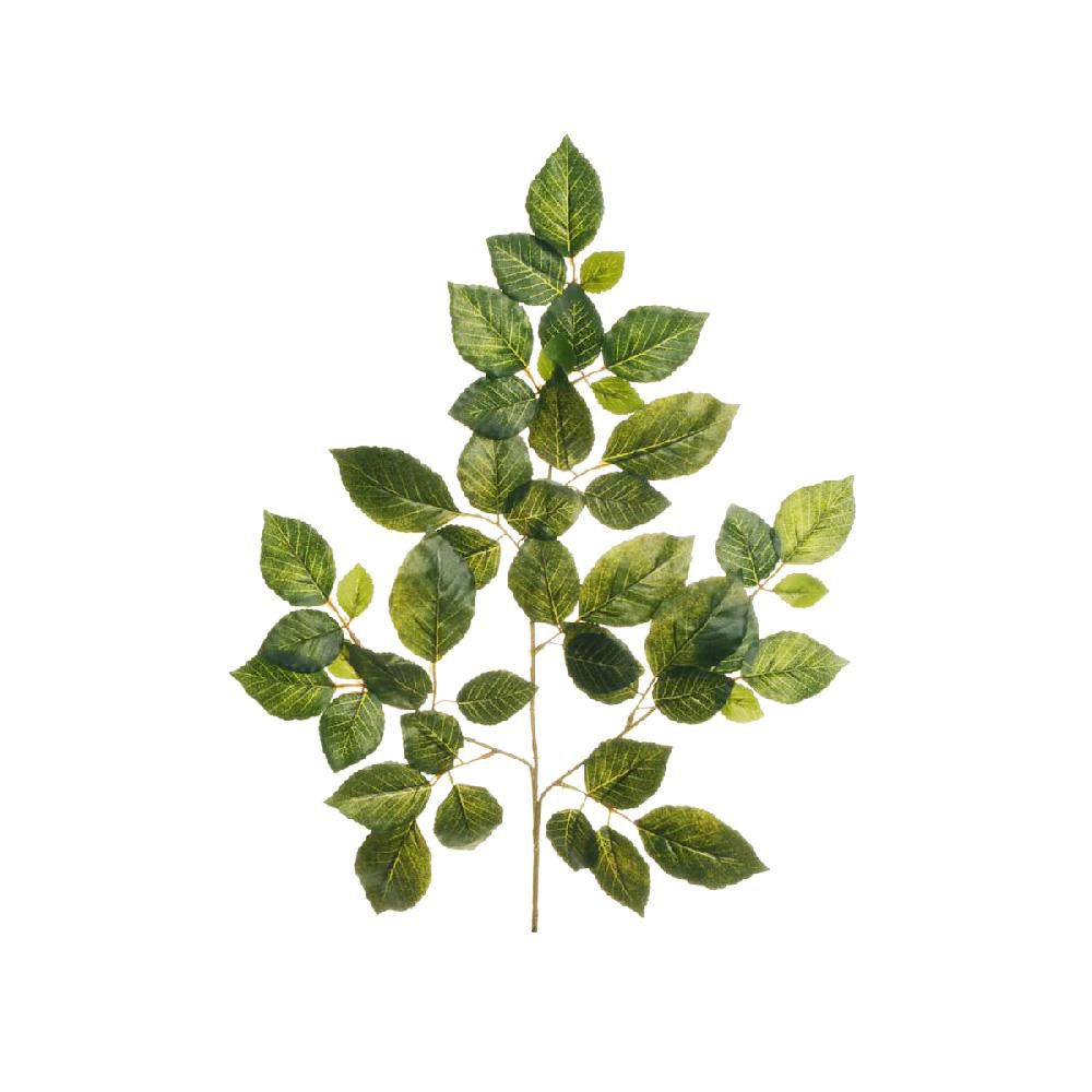 FAGGIO SPRAY 3X 45FG CM.56 VERDE