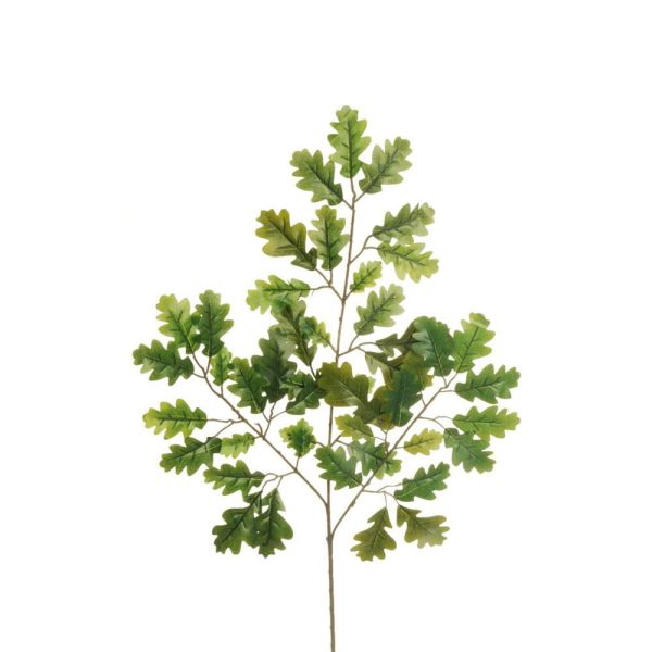 FOGLIAME QUERCIA 3X 47FG CM.56 VERDE