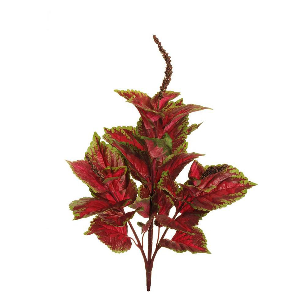 COLEUS BUSH X4 48F CM.66 VERDE/ROSSO COLEUS BUSH X4 48F CM.66 VERDE/ROSSO