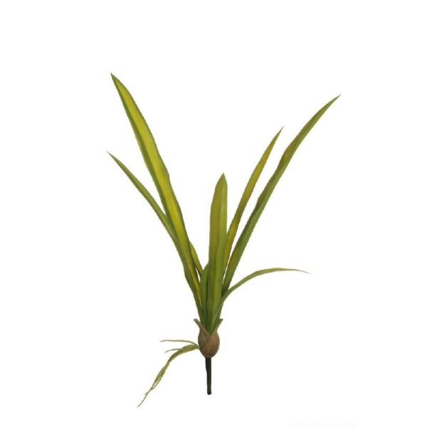 CYMBIDIUM FOGLIA BUSH 8F C/RADICI CM.57 VERDE CYMBIDIUM FOGLIA BUSH 8F C/RADICI CM.57 VERDE