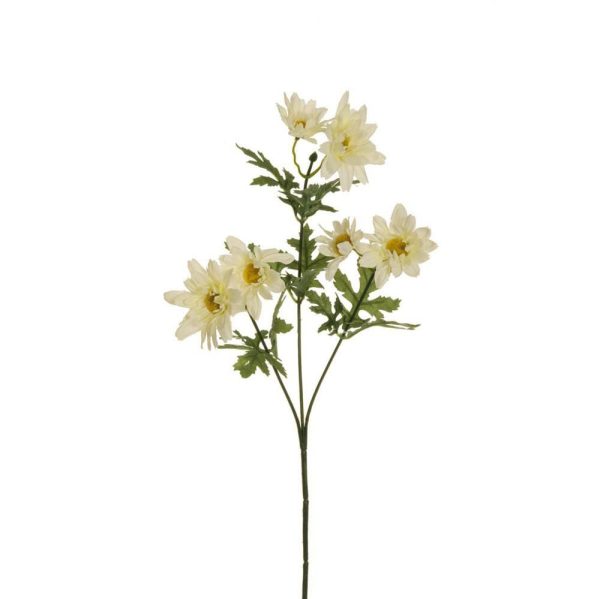 DAISY SPRAY 3X 6F CM.58CREMA DAISY SPRAY 3X 6F CM.58CREMA