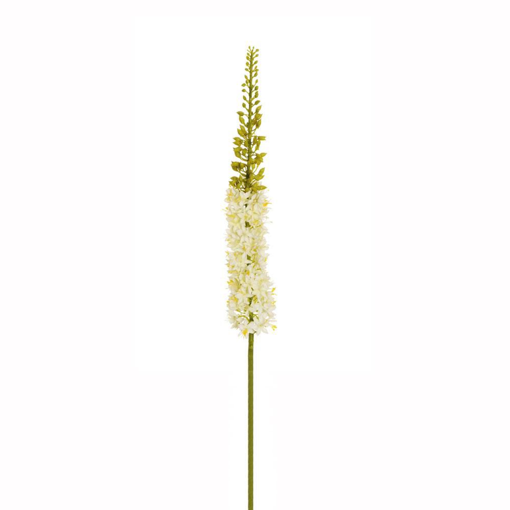 EREMURUS CM.118 BIANCO EREMURUS CM.118 BIANCO