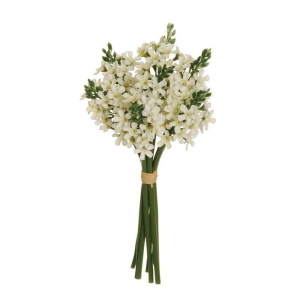 ORNITOGALLUM BOUQUET 7FCM.30 BIANCO ORNITOGALLUM BOUQUET 7FCM.30 BIANCO